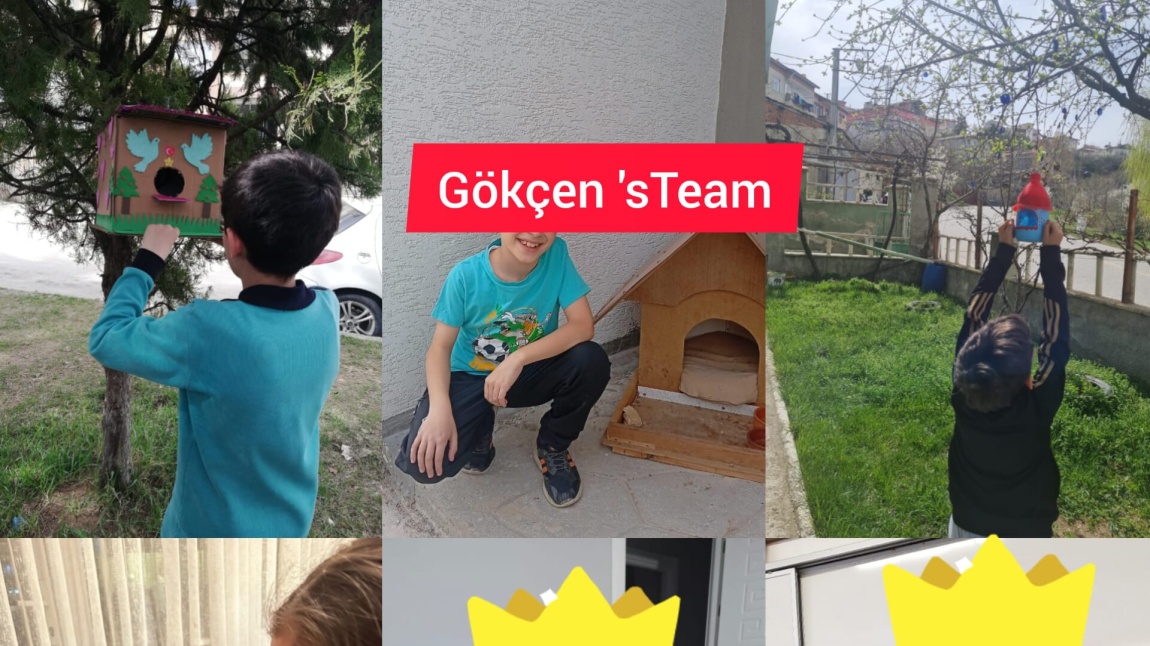 Atık Malzemelerden Hayvan Barınakları